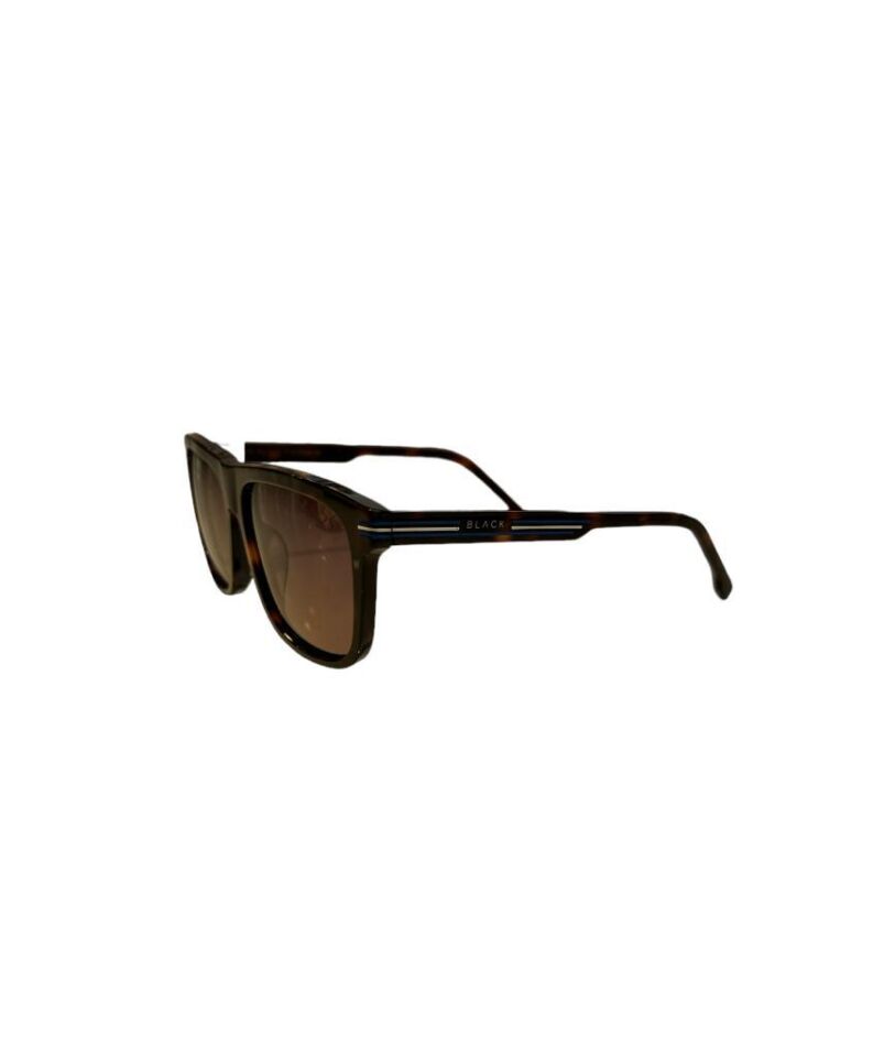 Black Mod.8343 C.03 Kahverengi Kırçıllı Erkek Güneş Gözlüğü