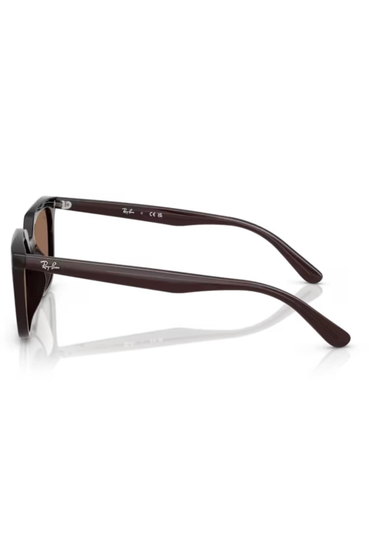 RAY-BAN 0RB4439D 623173 54 Güneş Gözlüğü