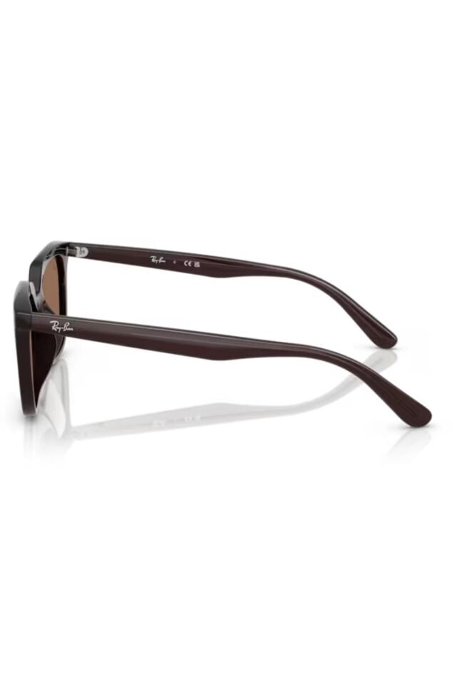 RAY-BAN 0RB4439D 623173 54 Güneş Gözlüğü