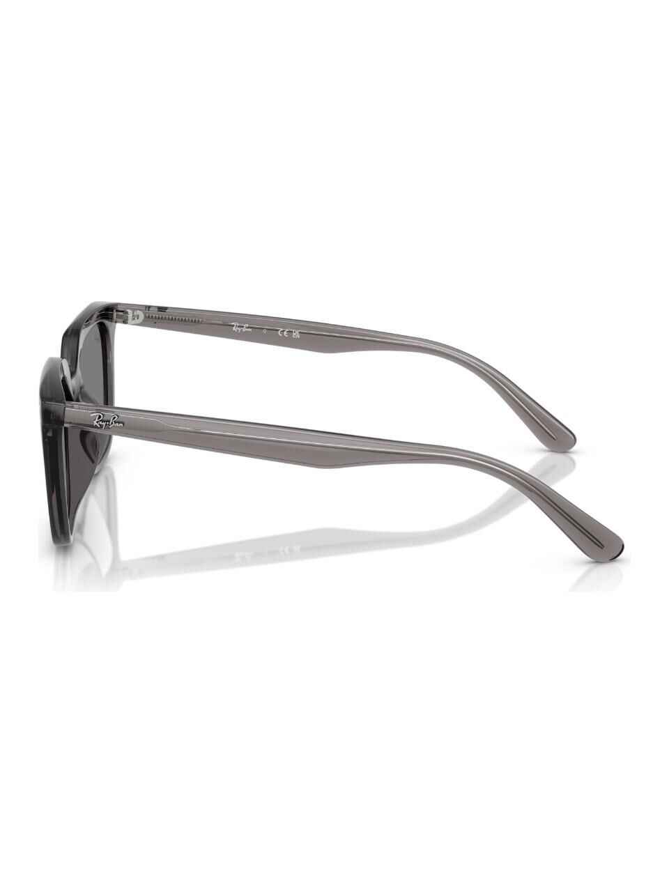 RAY-BAN 0RB4439D 667587 54 Güneş Gözlüğü