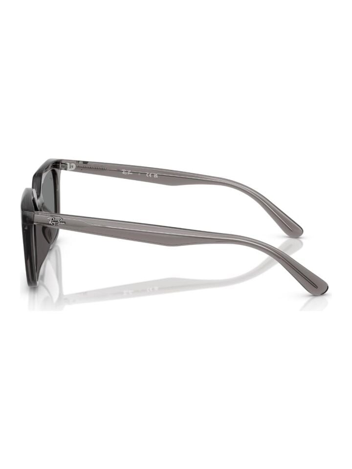 RAY-BAN 0RB4439D 667587 54 Güneş Gözlüğü