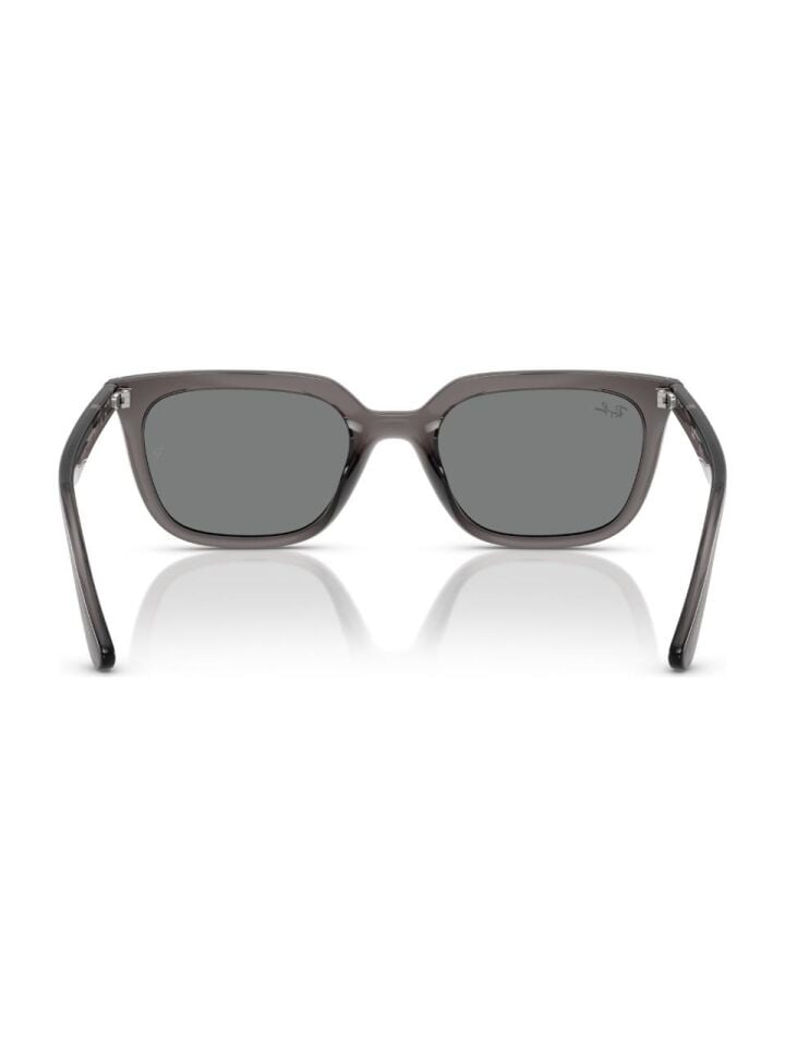 RAY-BAN 0RB4439D 667587 54 Güneş Gözlüğü